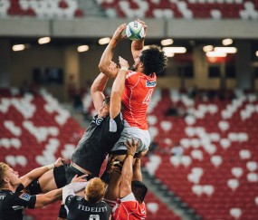 必一运动bsports官方下载平台整体评测深度分析