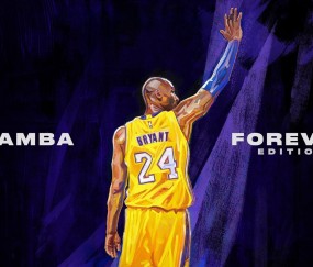 平台性能分析全面解析：必一运动bsports官方下载（推荐）