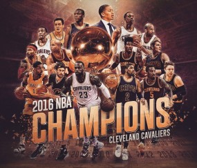 行业发展分析中必一运动的表现全面解析（干货）